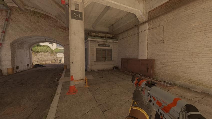 Warden Rampage with AK-47